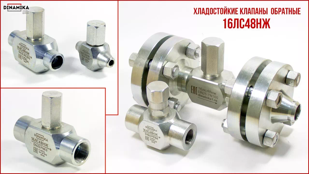 16лс48нж Клапан обратный подъёмный в Москве